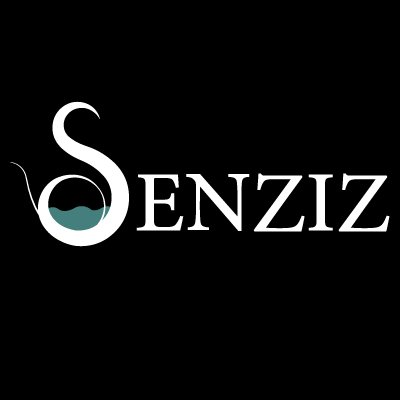 senziz.com